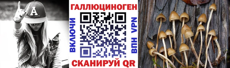 Галлюциногенные грибы Magic Shrooms купить закладку Городовиковск